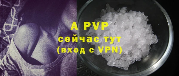 спиды Зеленокумск